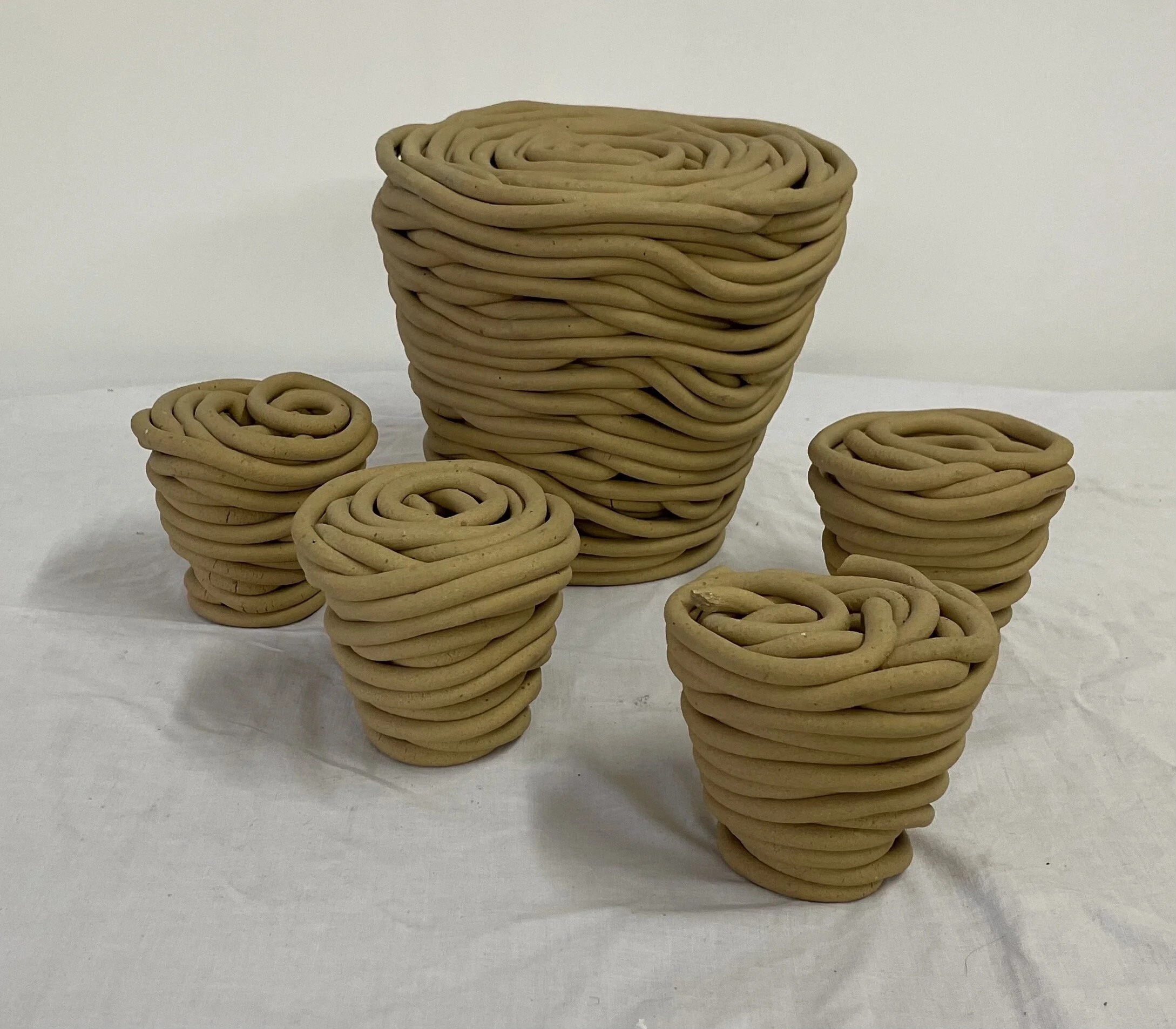 Charlotte Wiesmann "Rhizome" -580€