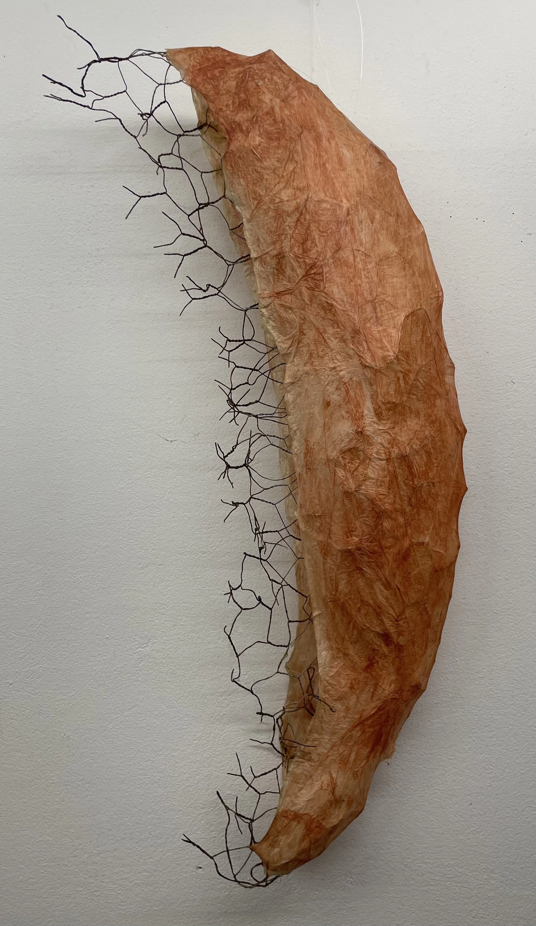 Elizabeth Weissensteiner; Papier auf Draht -600€