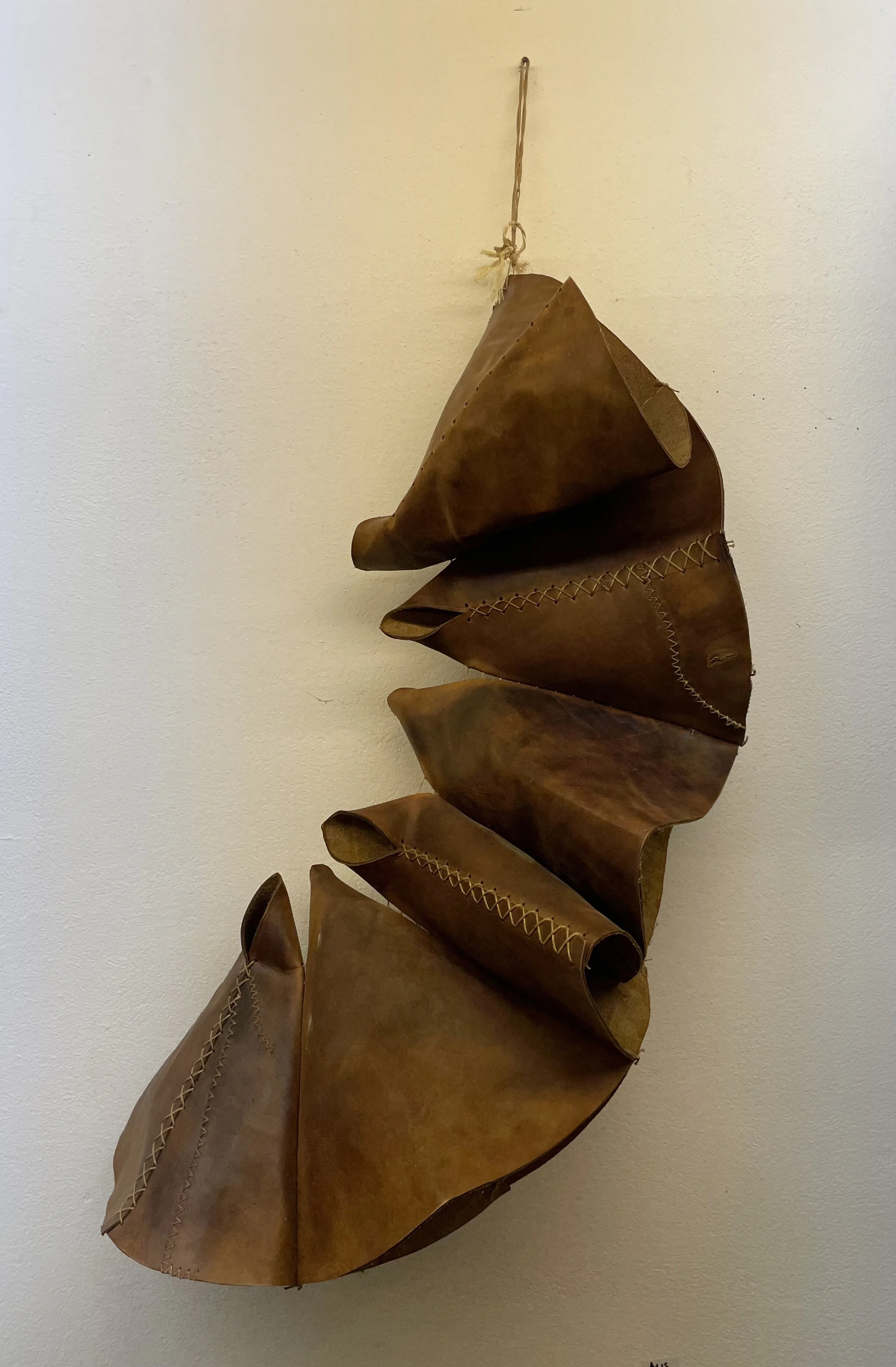 Walter Gschwandner; Leder -720€