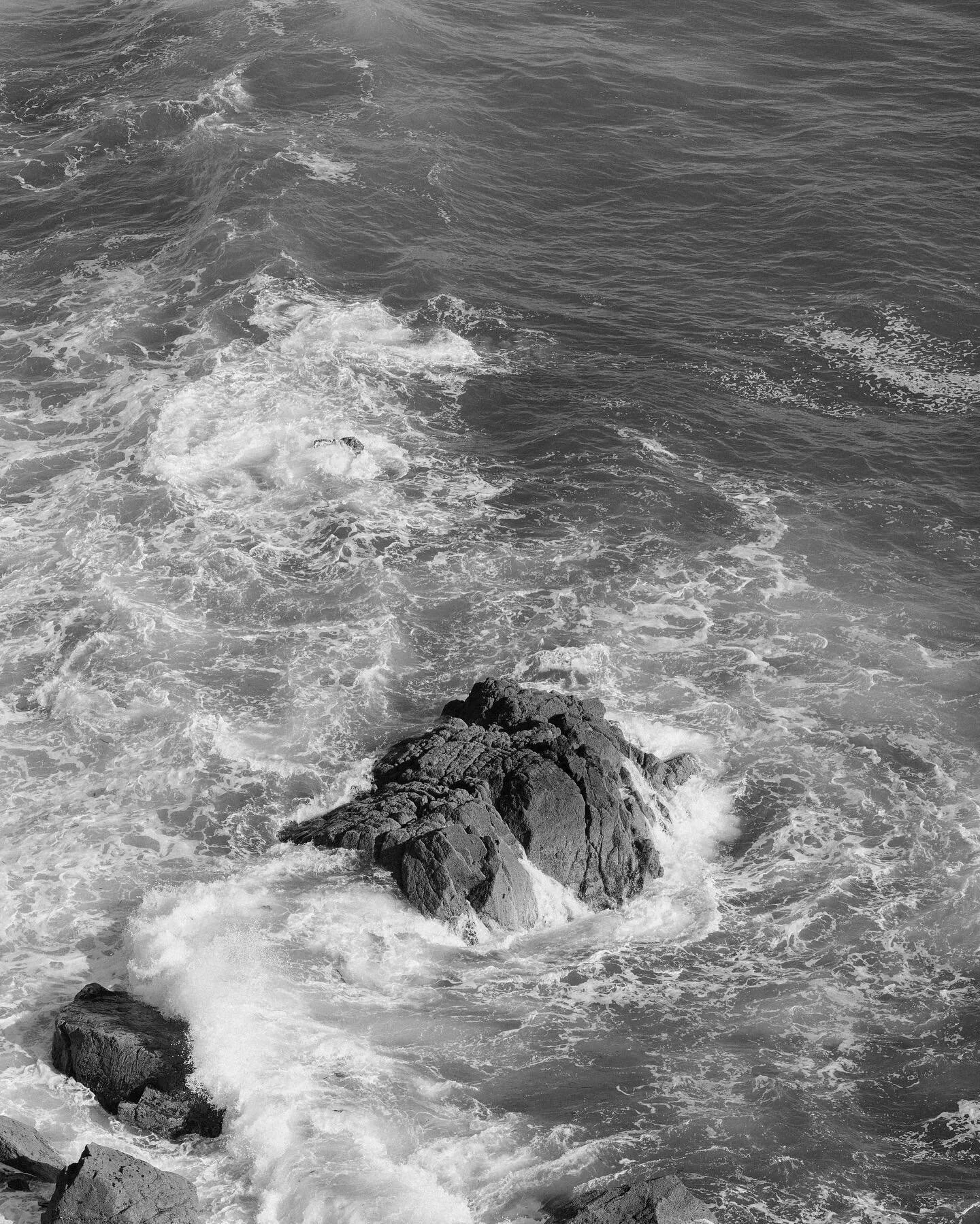 &mdash; run for the coast