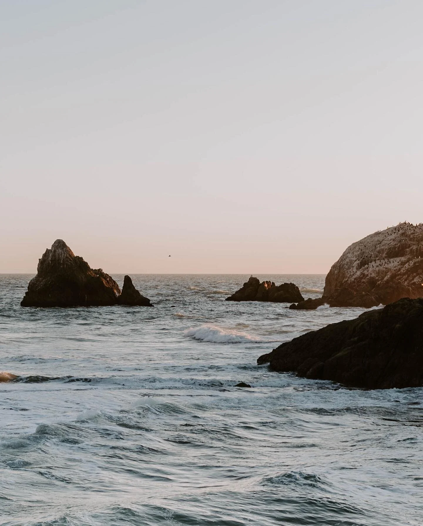 walks across san francisco&rsquo;s coast

#midnightsafari #stademagazine #lonelyplanet #mytinyatlas #sanfrancisco #sutrobaths #palepalmcollection #cntraveler #mydomainetravels #travel #travelstoke #photobugcommunity #visualsofearth #kinfolk #suitcase