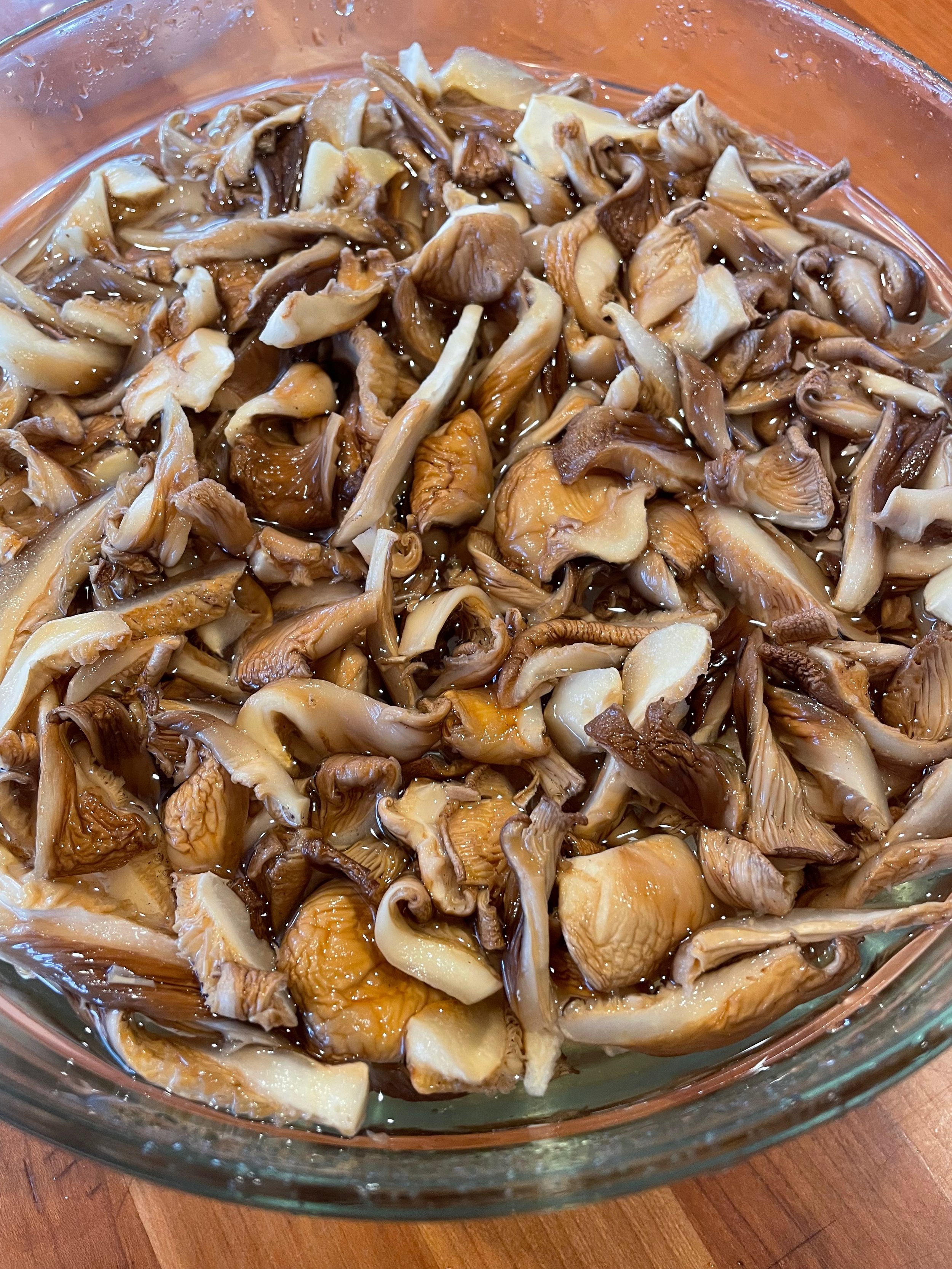 SoakingMushrooms.jpeg