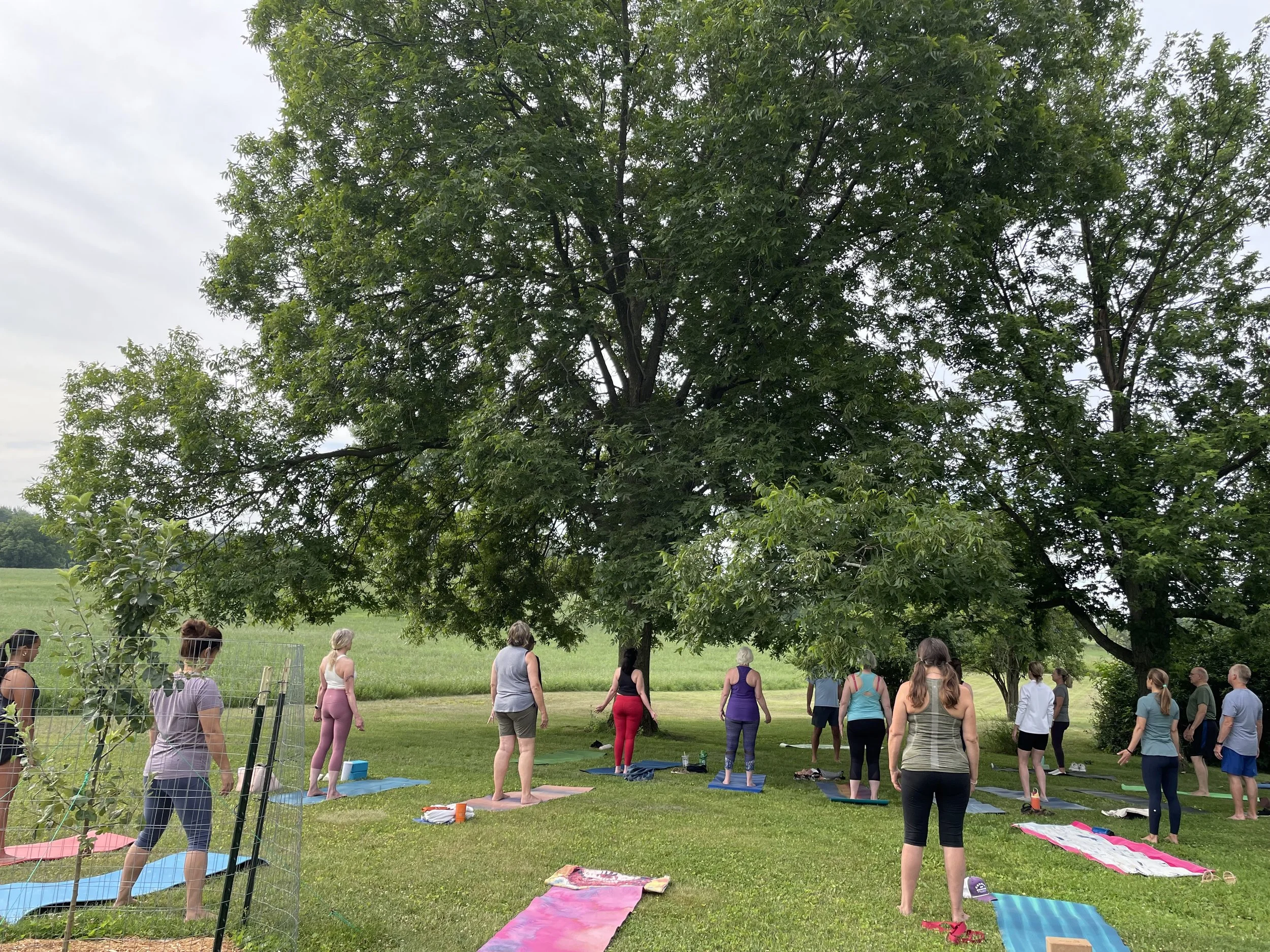 Celebrating Wellness Freedom with Yoga Under The Trees