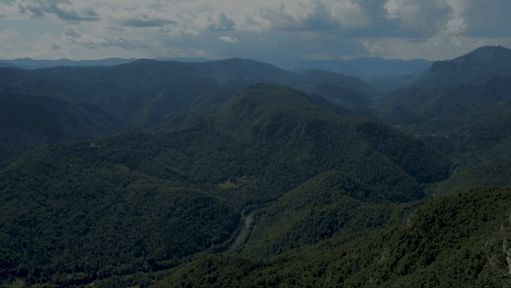 find peace - full.gif