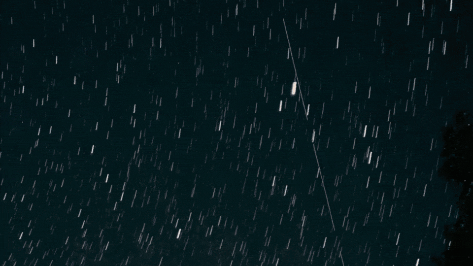 homepage-header.gif