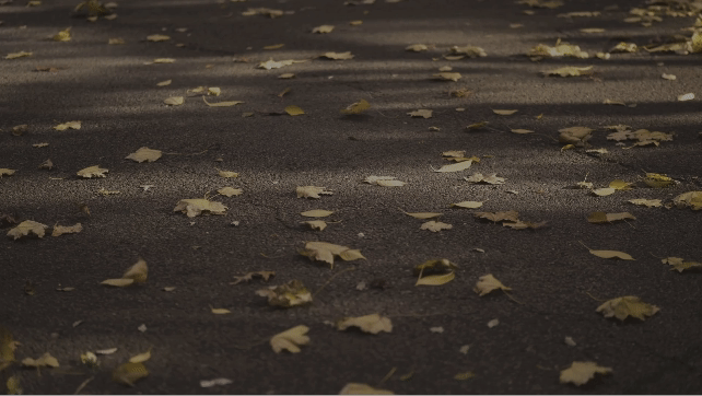 SW Contact Video (1).gif