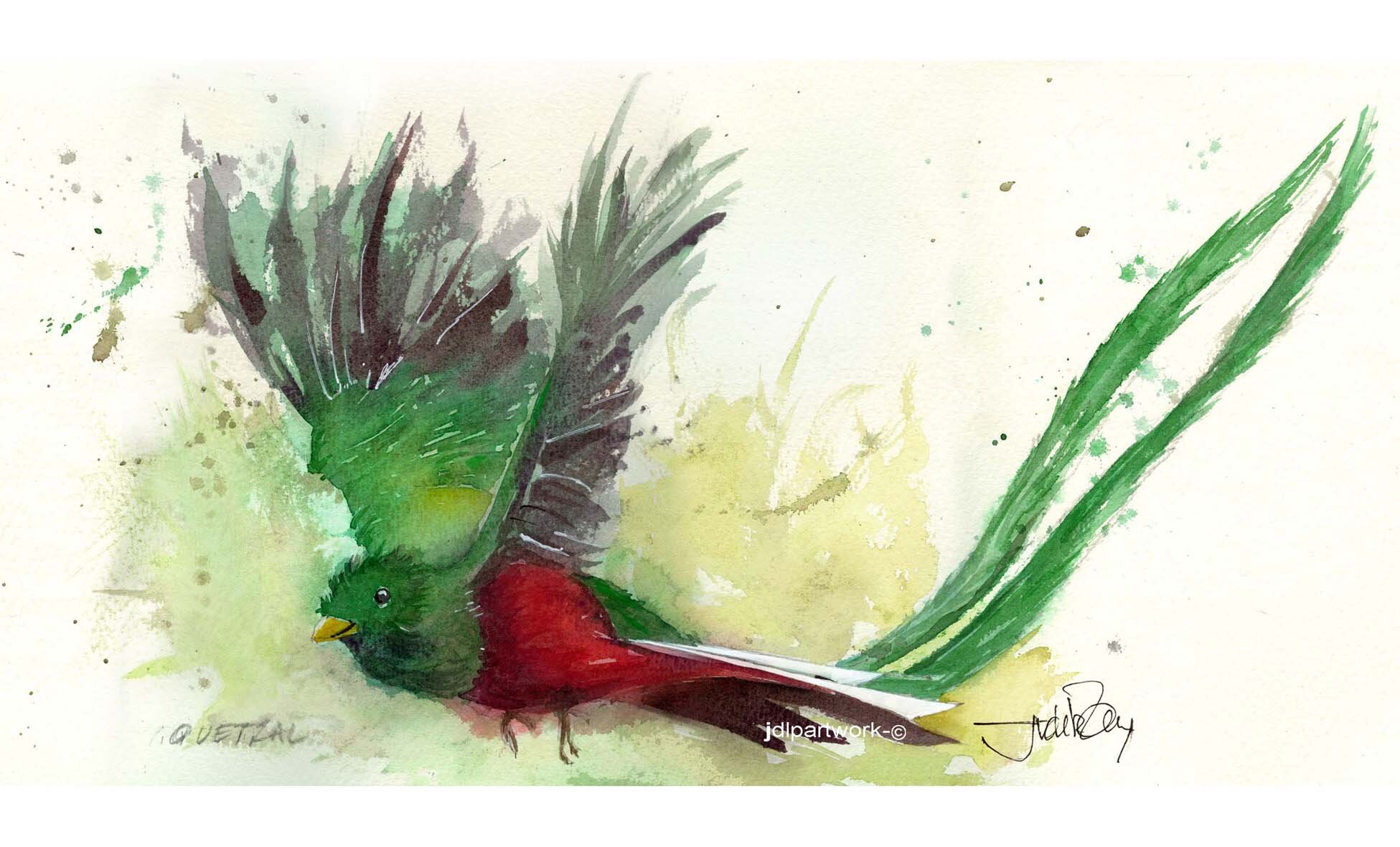 QUETZAL 01- WEB.jpg