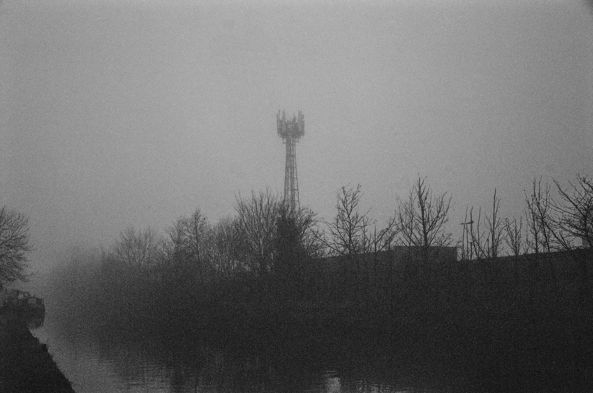 NIGHT WIRE field recording