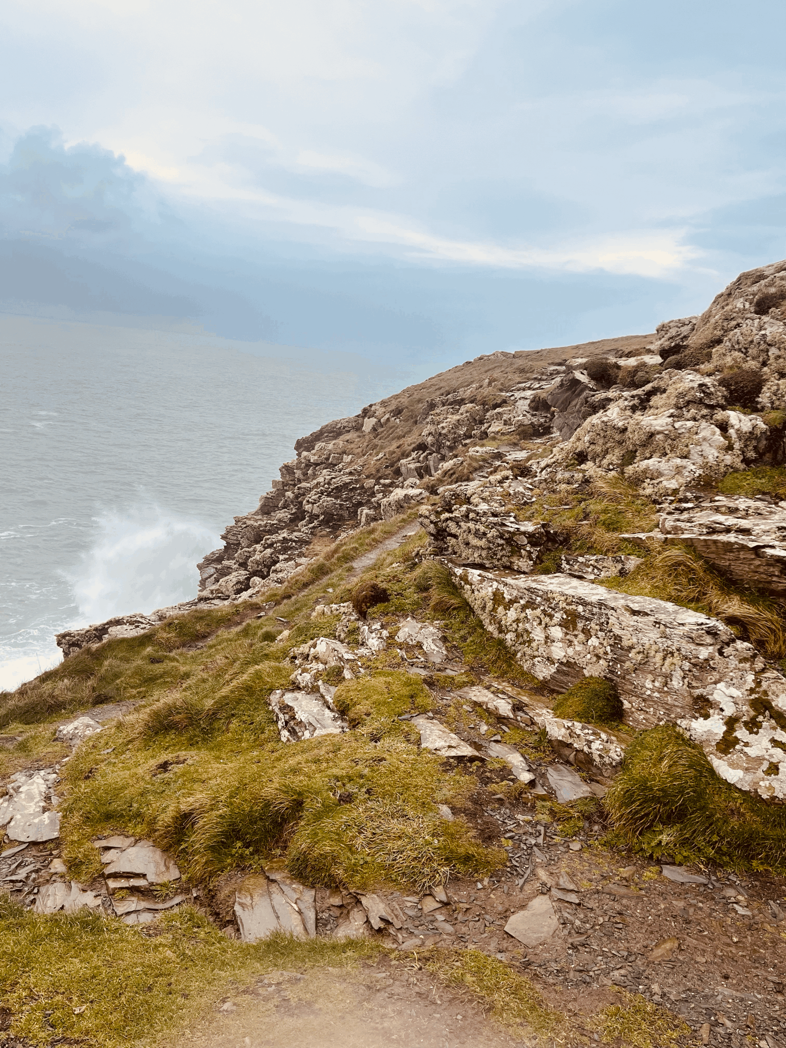 tempImage2Ykaxc.gif