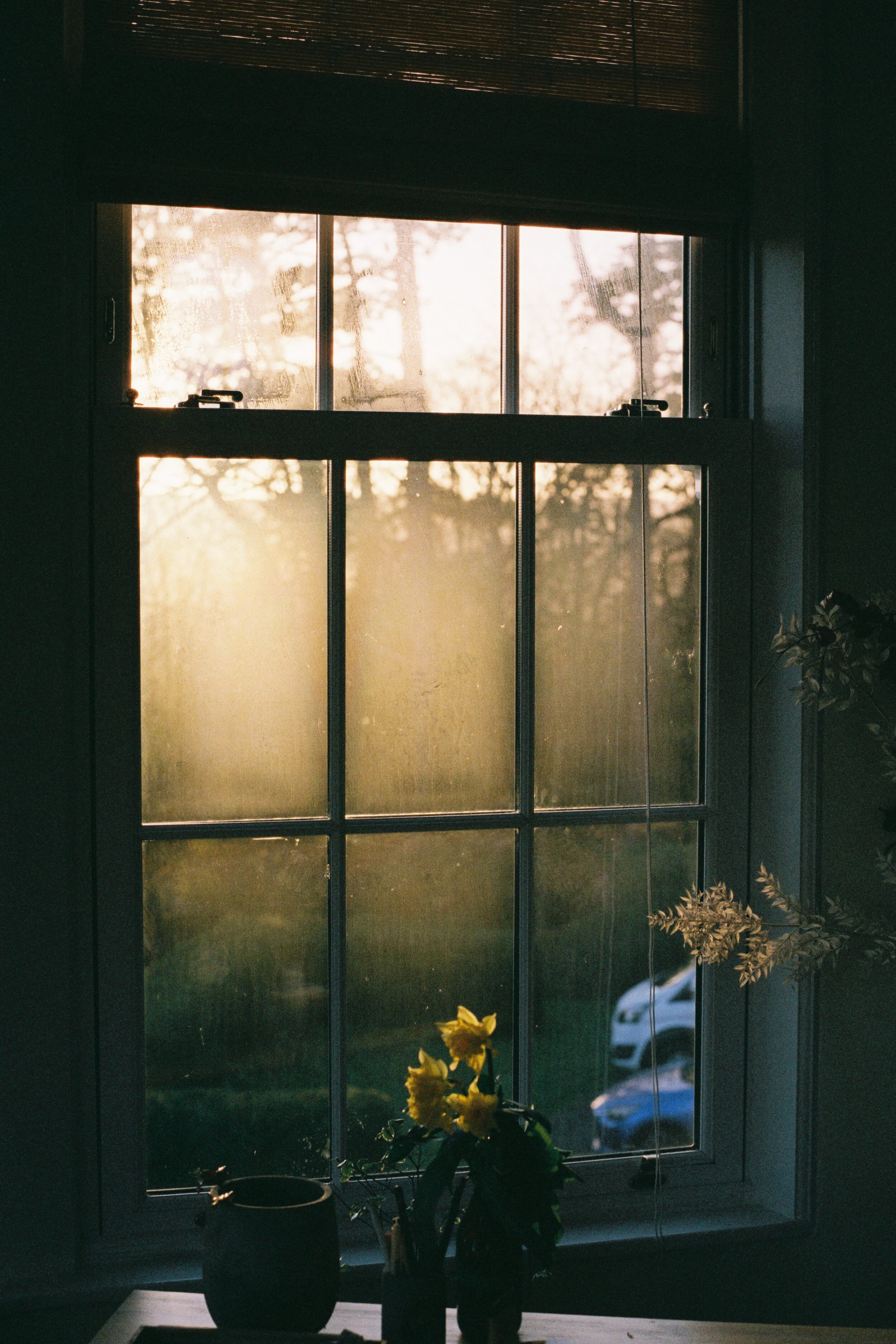 1003095-R1-10-10.jpeg