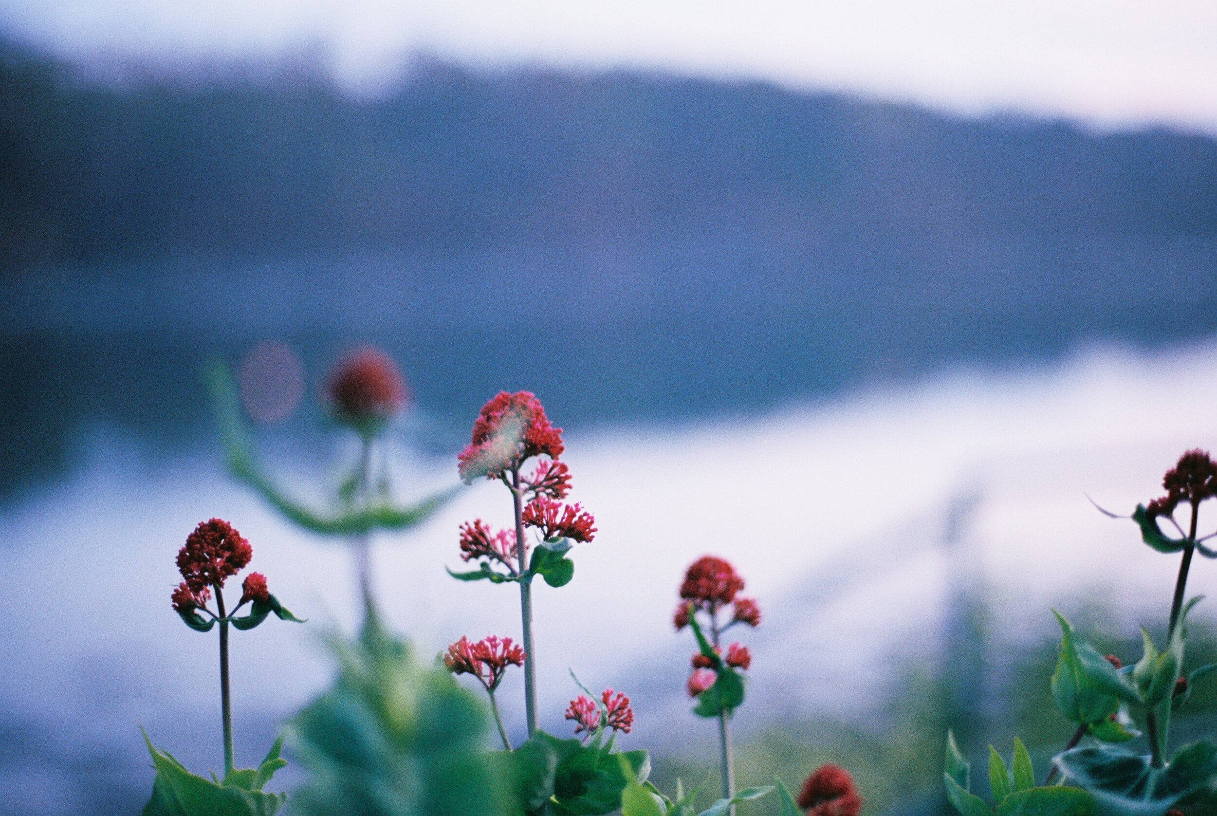 2104223-R1-15-14A.jpeg