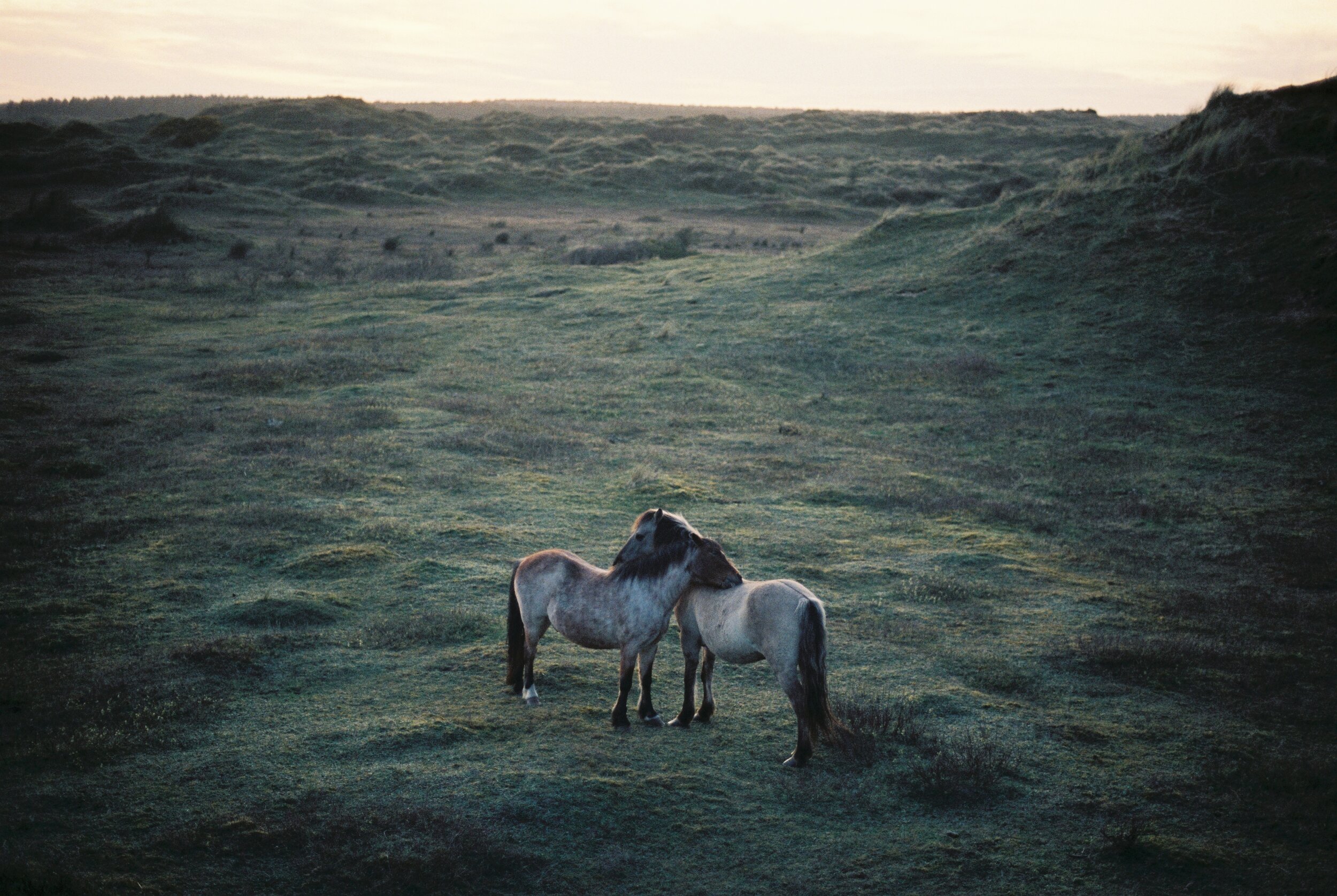 0904223-R1-15-15.jpeg