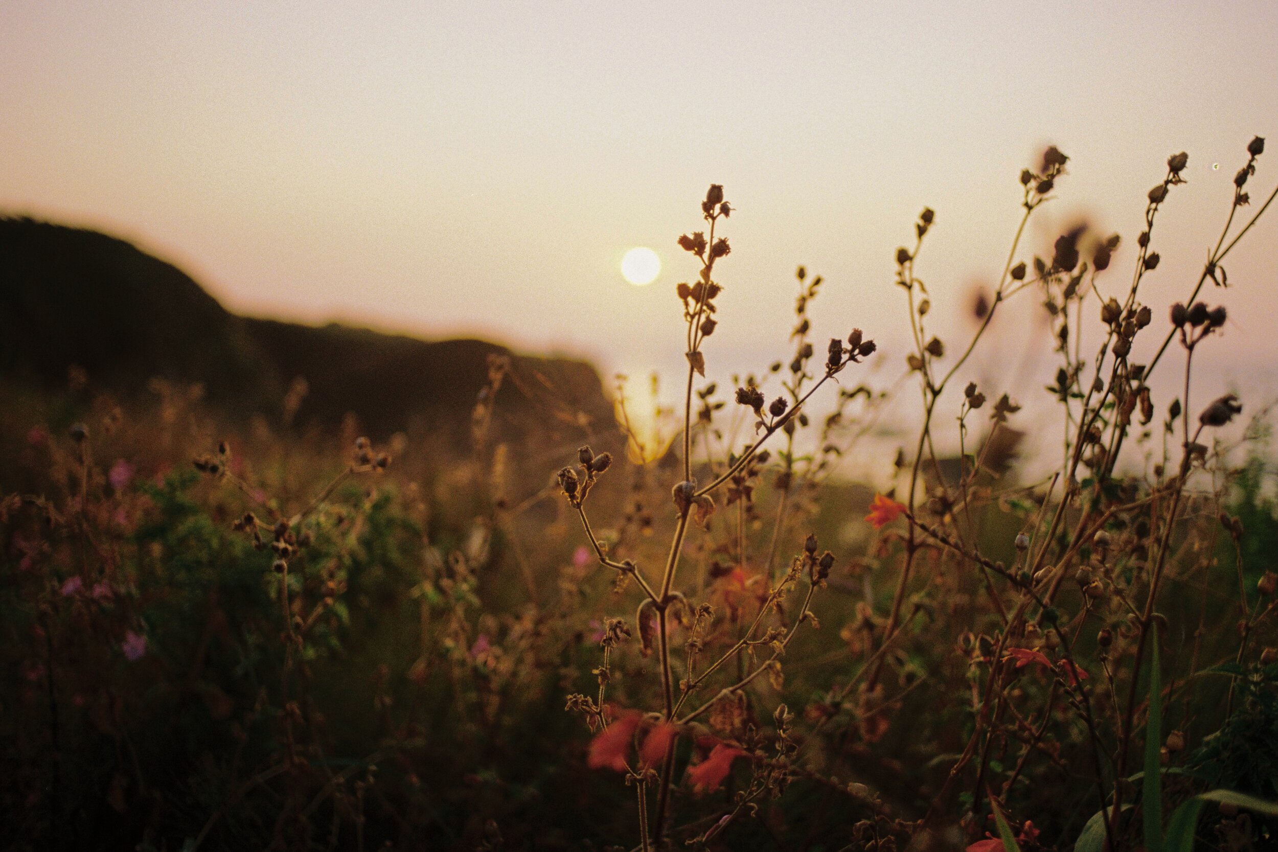 L651074-R1-15-14A.jpeg