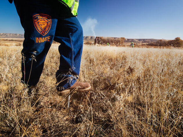 Meet the Inmates Working to Rebuild the Greater Sage-Grouse's Home | Audubon
