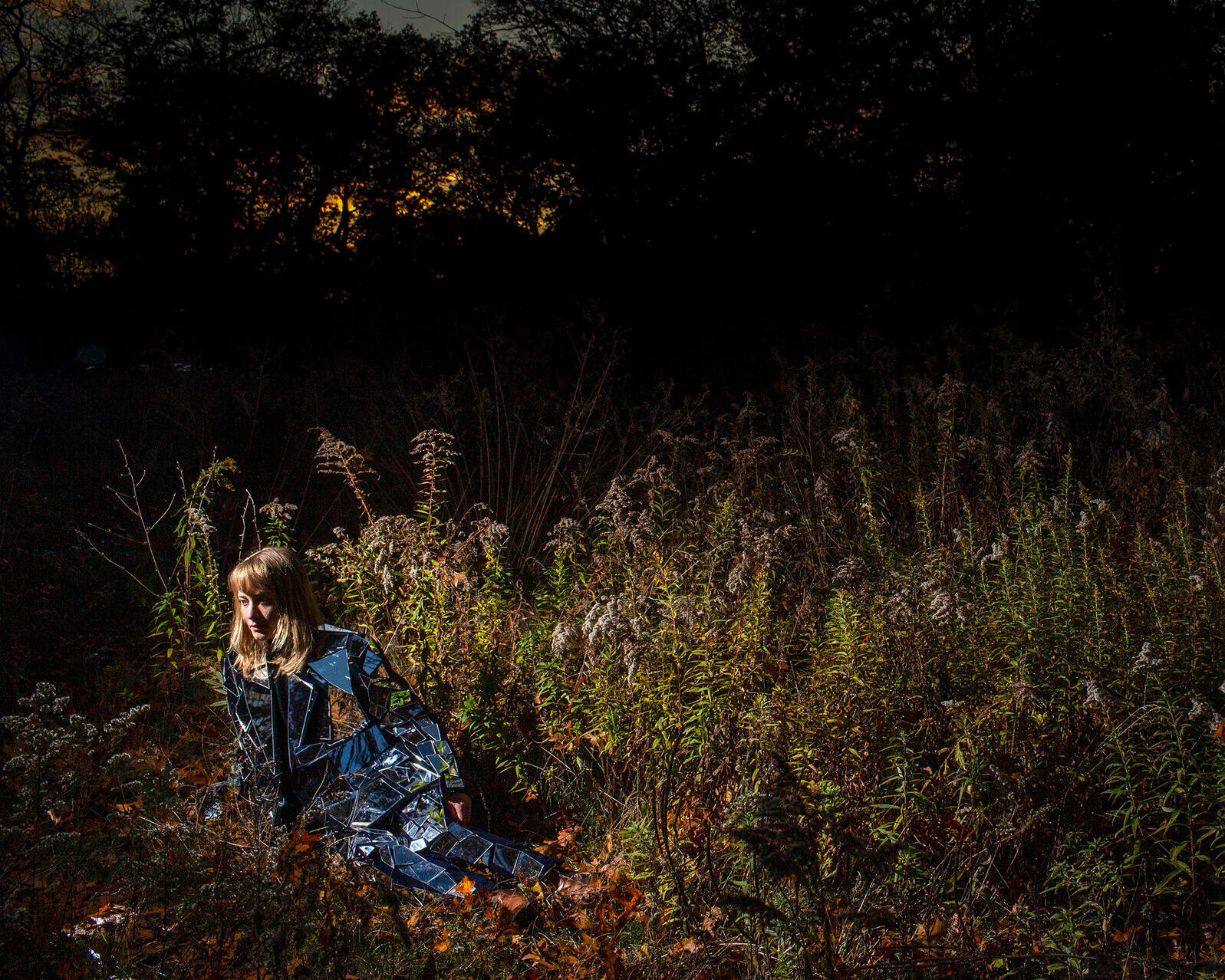 The Weather Station’s Stunning New Album Is Filled With Birds and Grief | Audubon