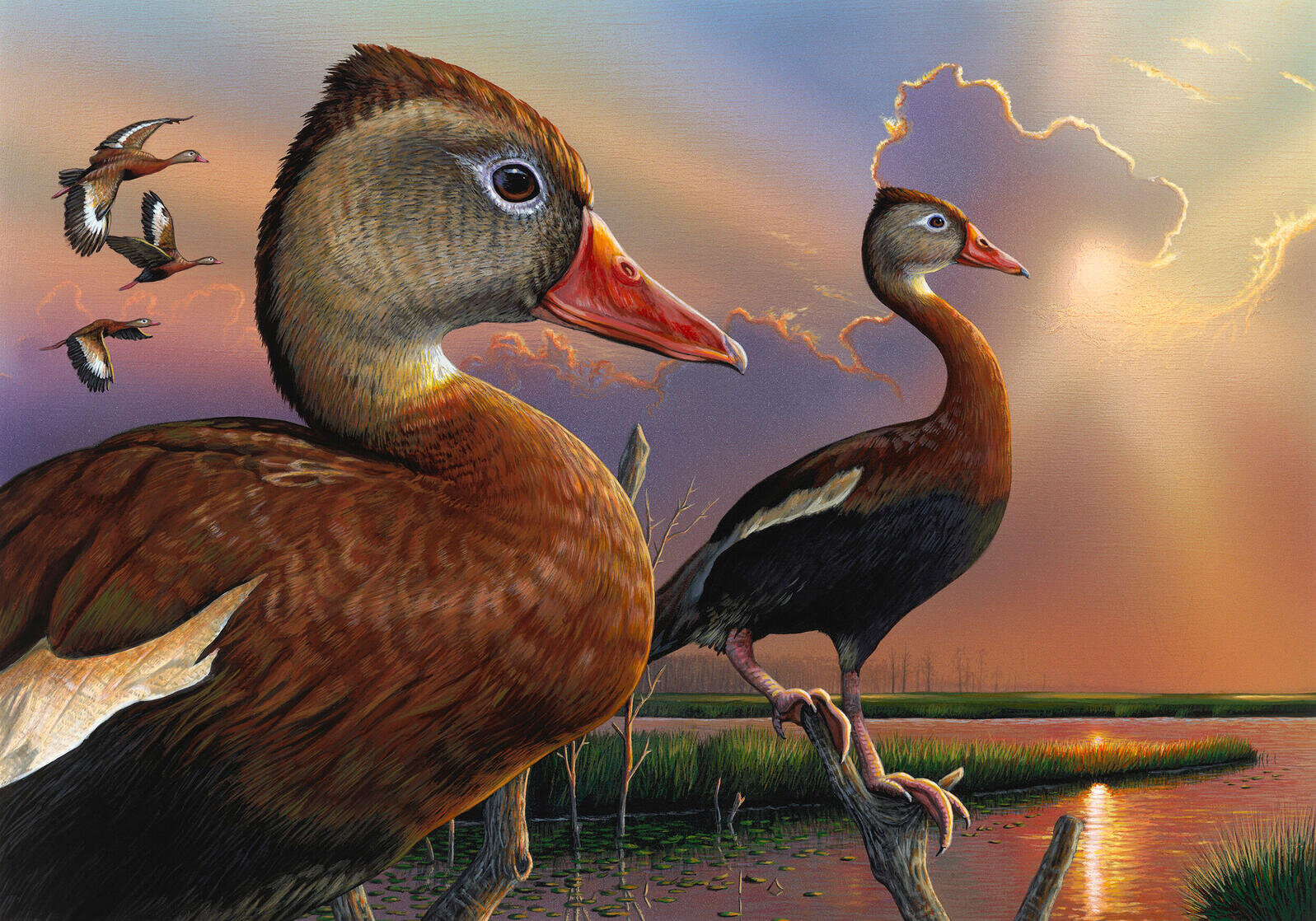 After Controversy, the Duck Stamp Contest May No Longer Require Hunting Scenes | Audubon