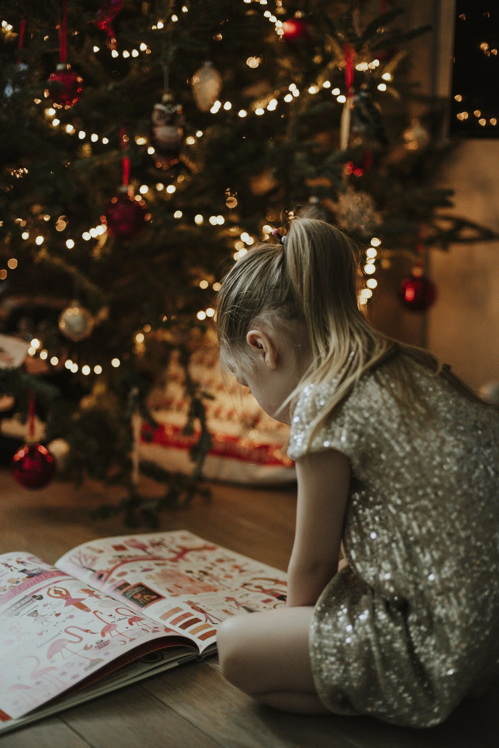 Keeping Your Homeschooler In A Reading Routine and on Track Through the Holidays