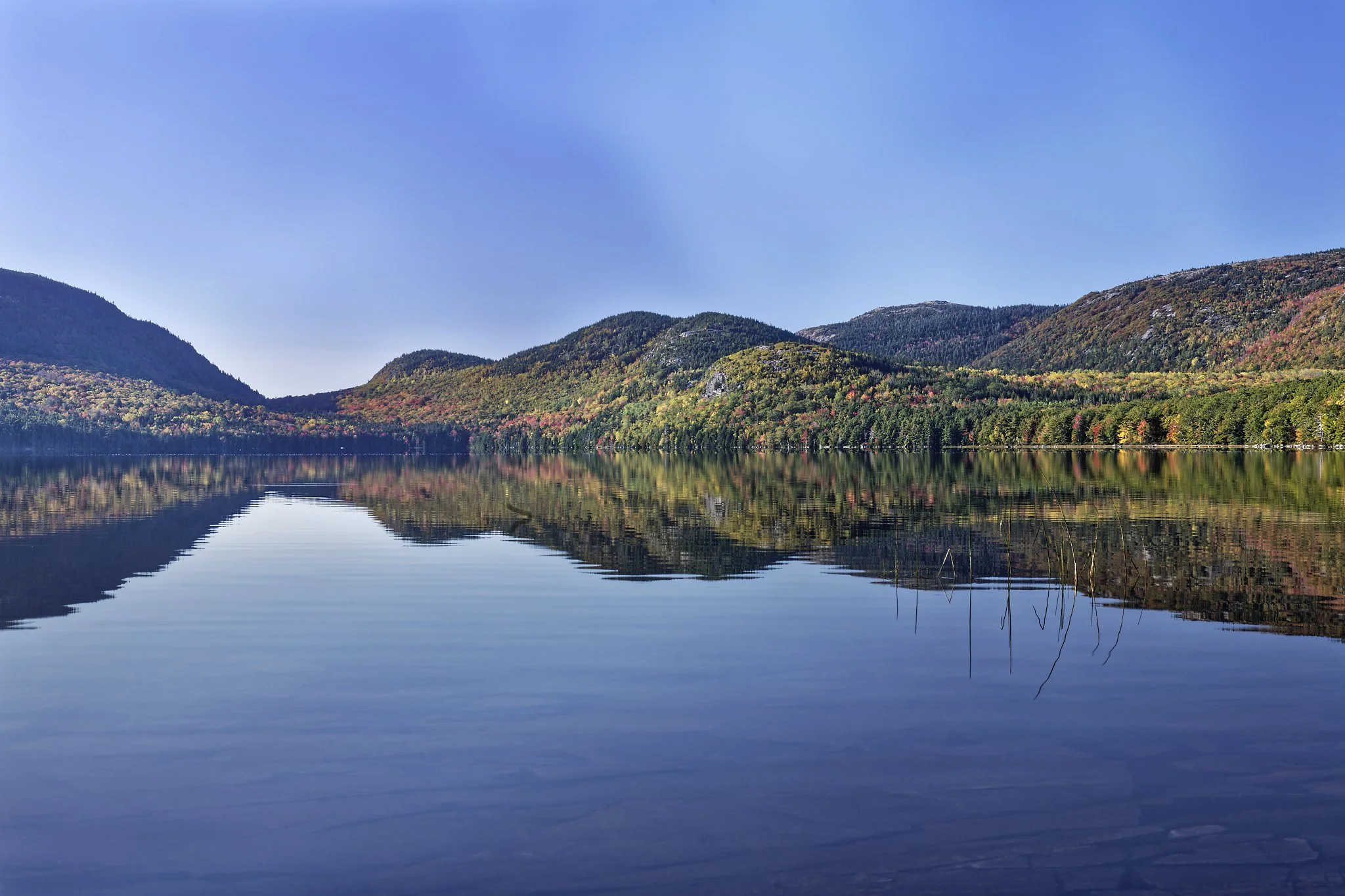 _DSC2699_DxO.jpg