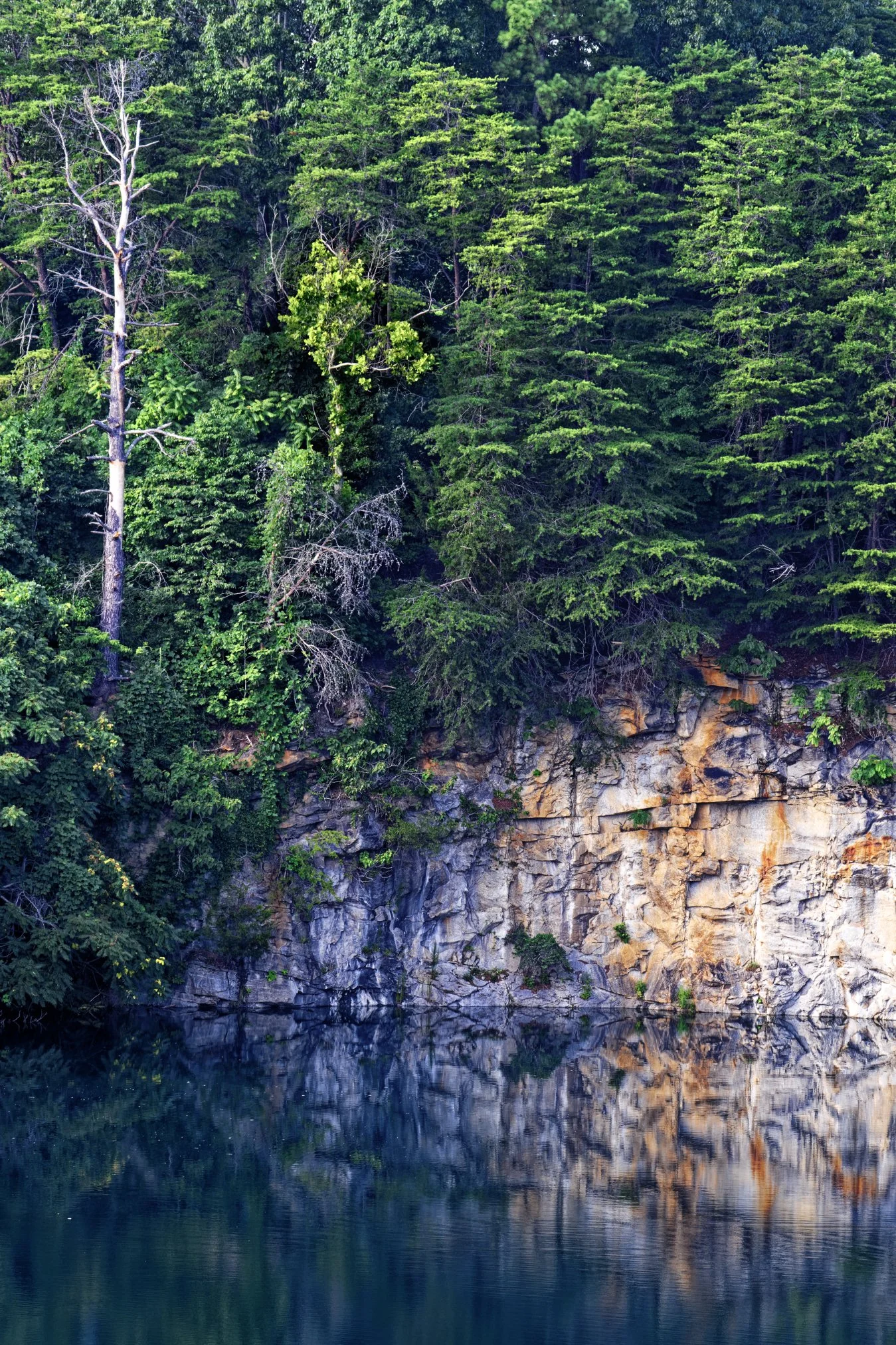 _DSC3637_DxO.jpg