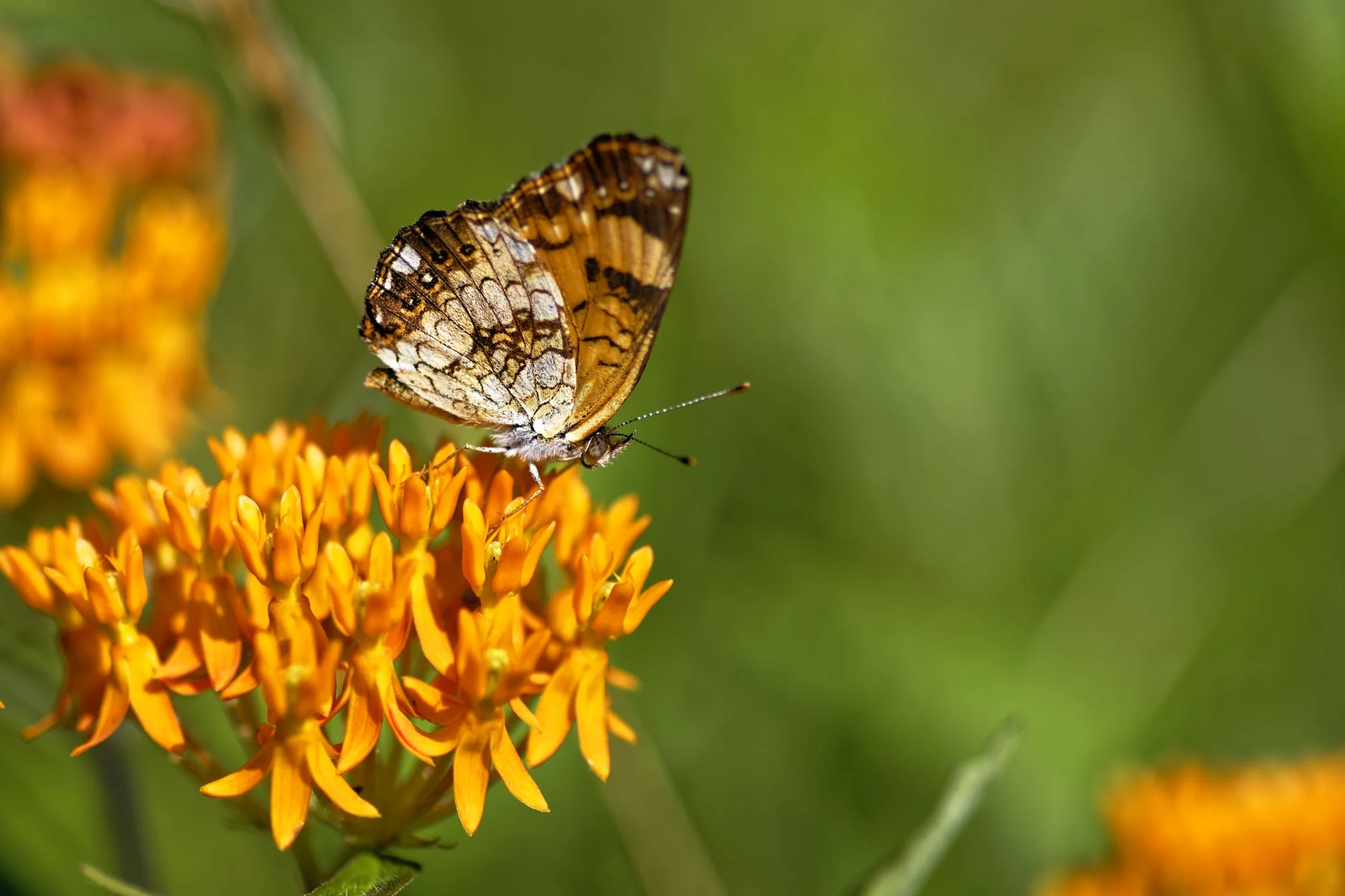 _DSC3541_DxO.jpg