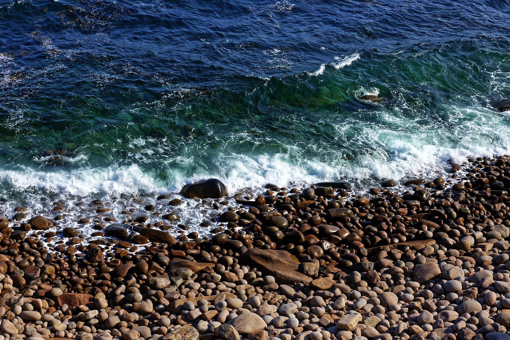 _DSC1976_DxO.jpg