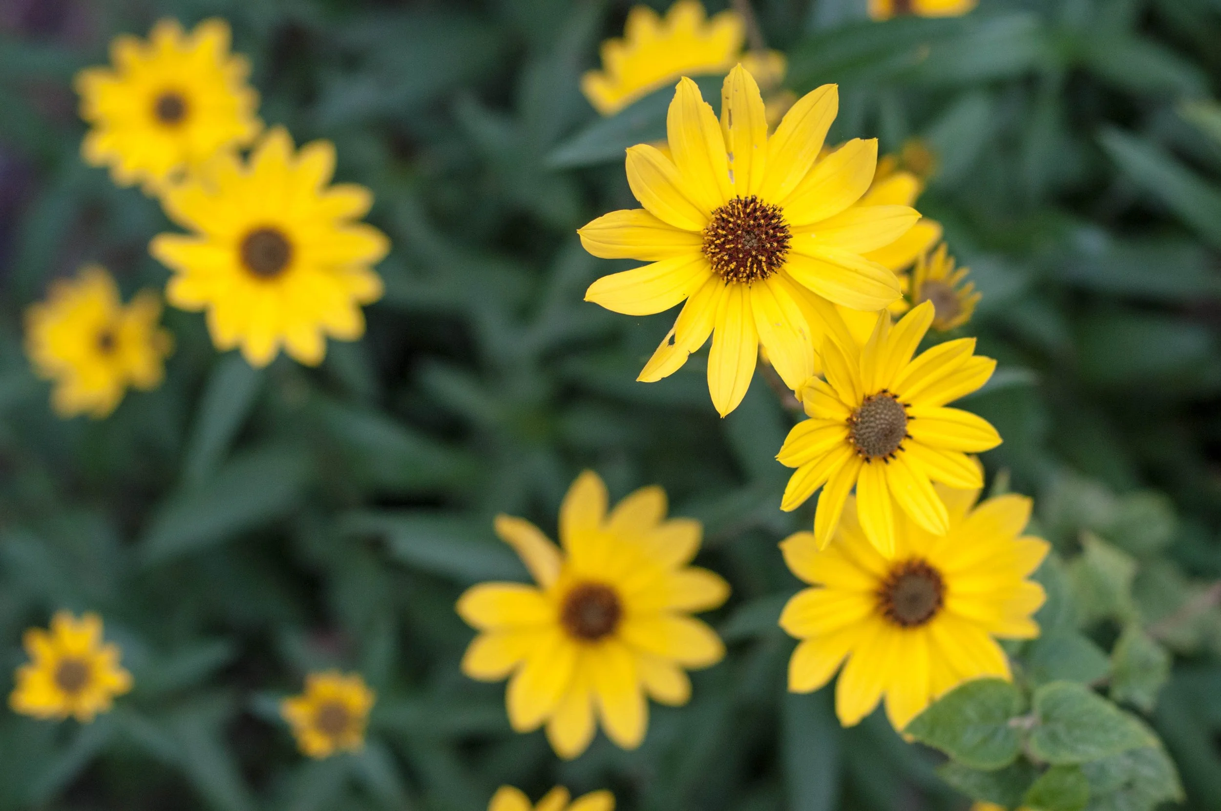 20121009-DSC_5939.jpg
