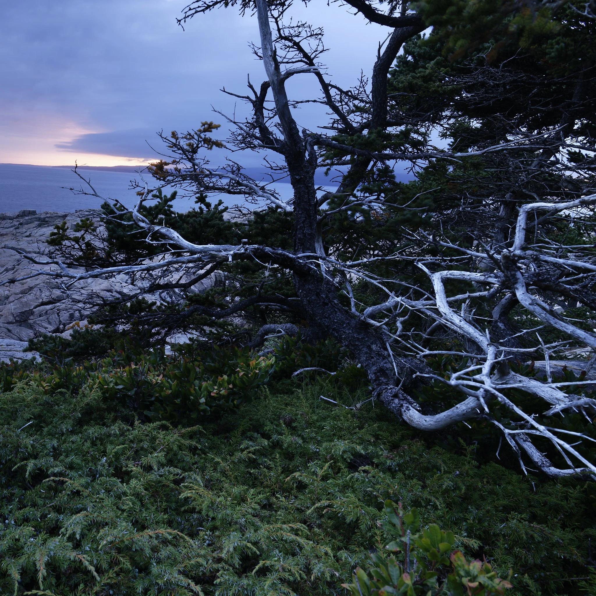 _DSC2473_DxO_1.jpg