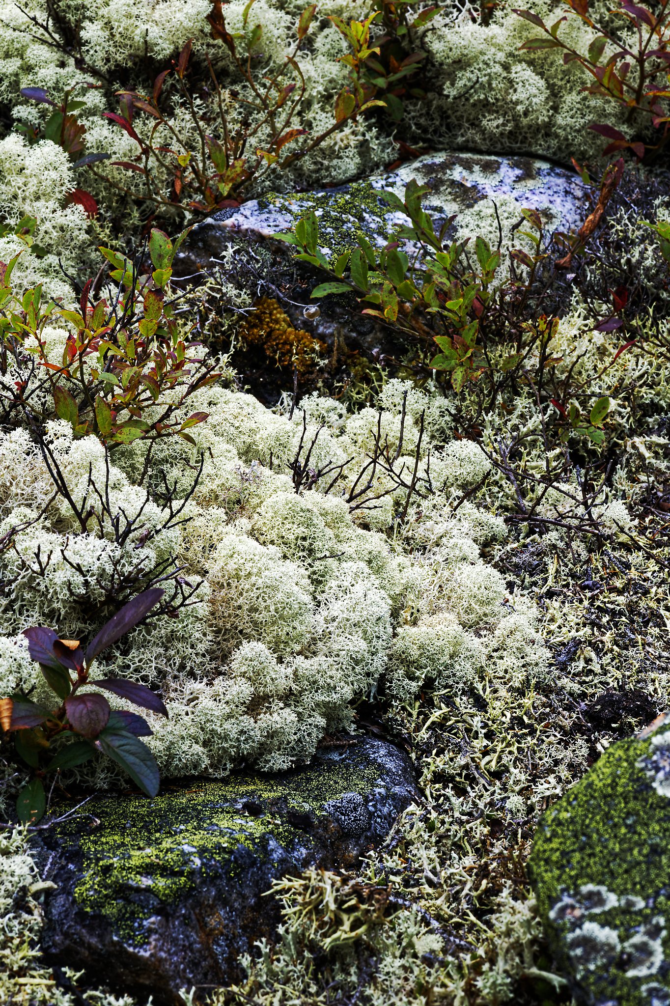 _DSC2434_DxO.jpg