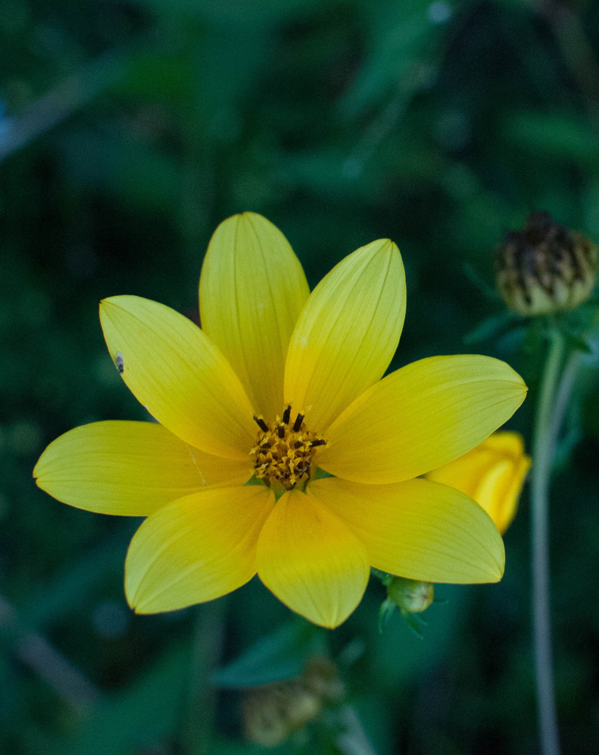 20121006-DSC_5904.jpg
