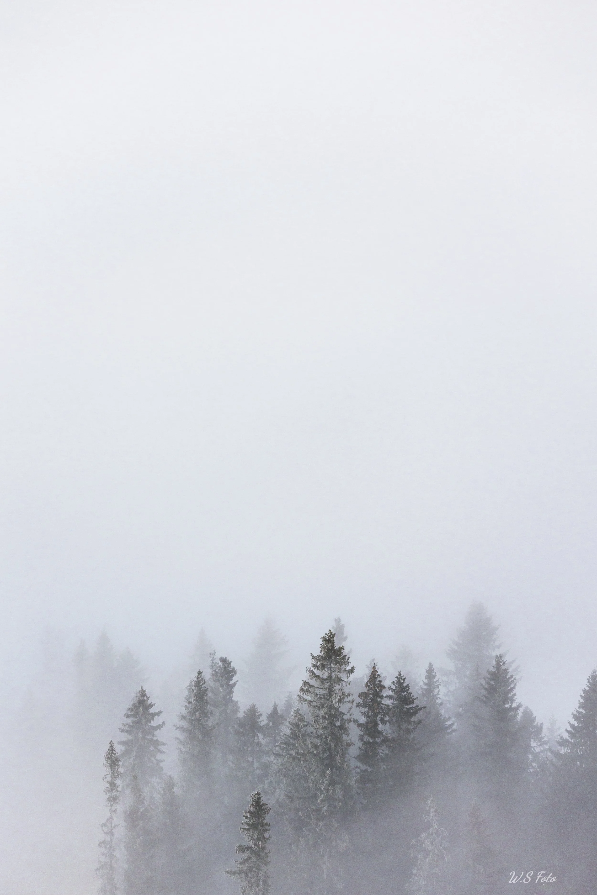 _I8A9542.jpg