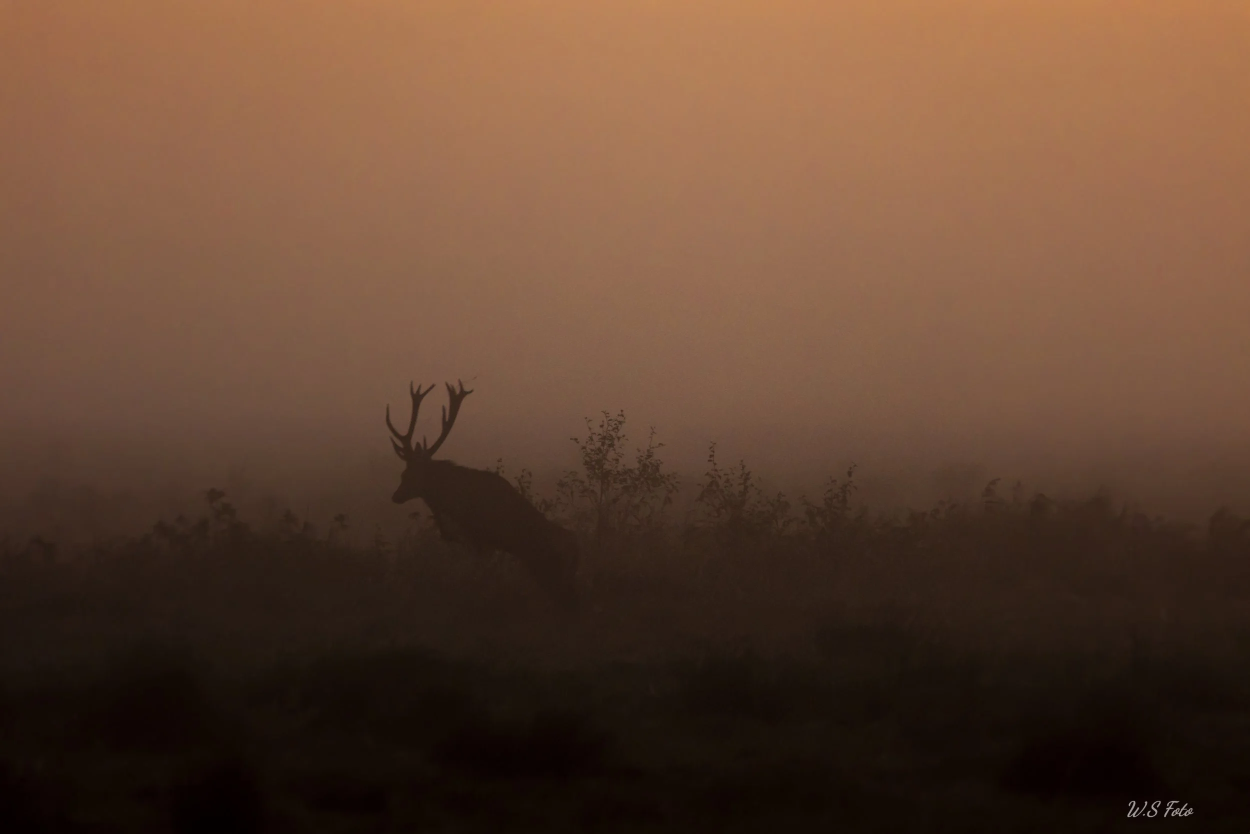 _I8A8268-Edit.jpg
