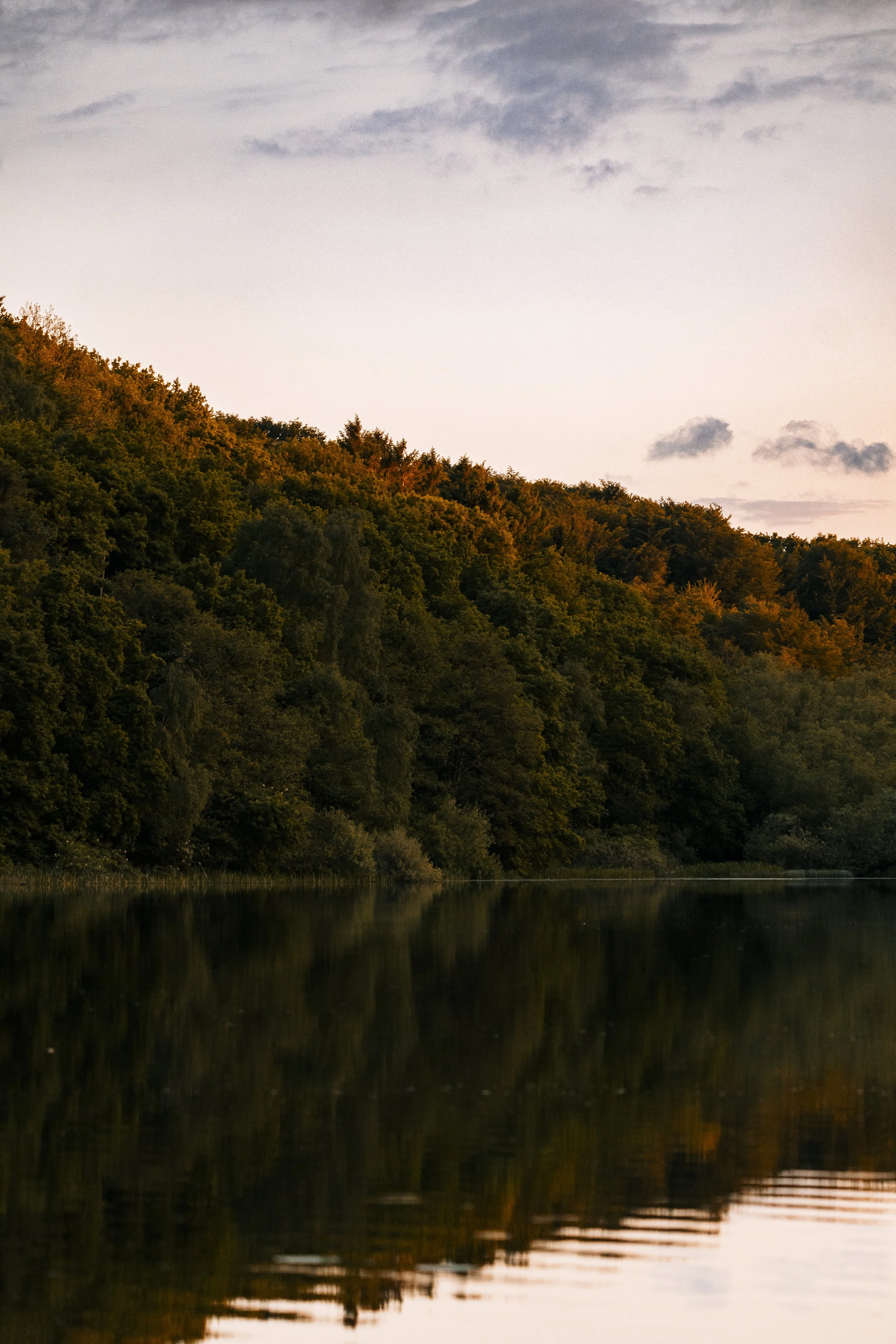 _I8A5820.jpg