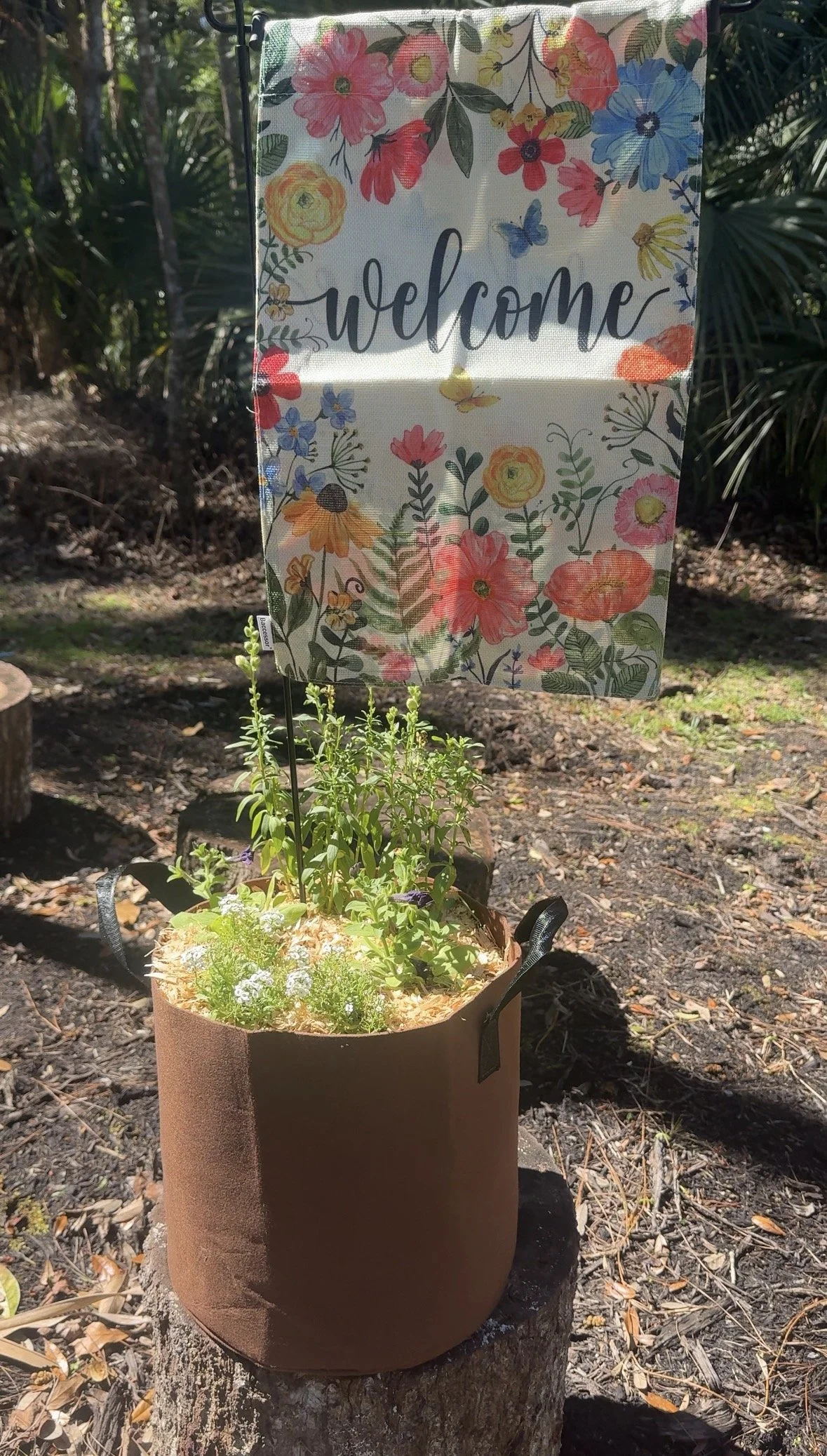 BROWN BAG ON STUMP WITH COLORFUL WELCOME SIGN.JPEG