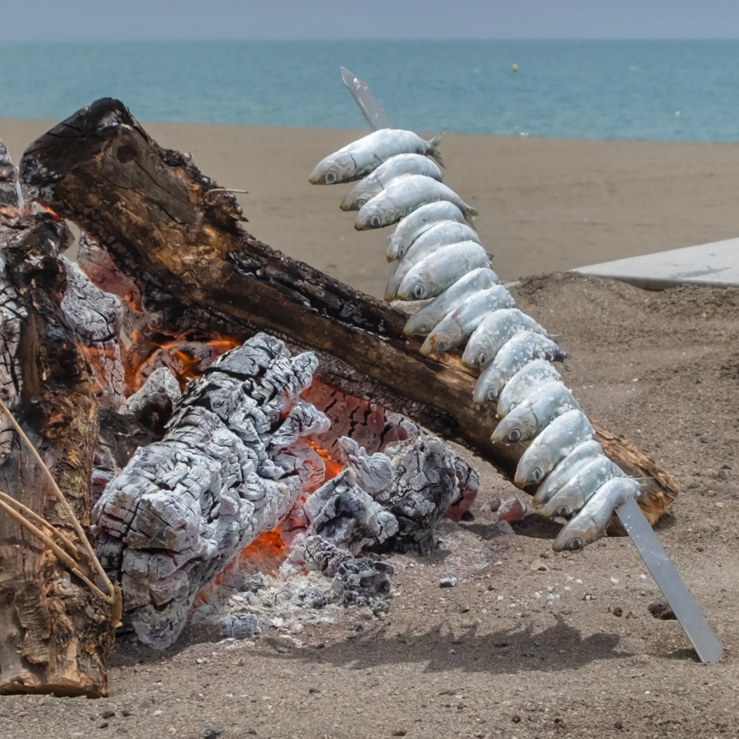 DSCF2555.jpg
