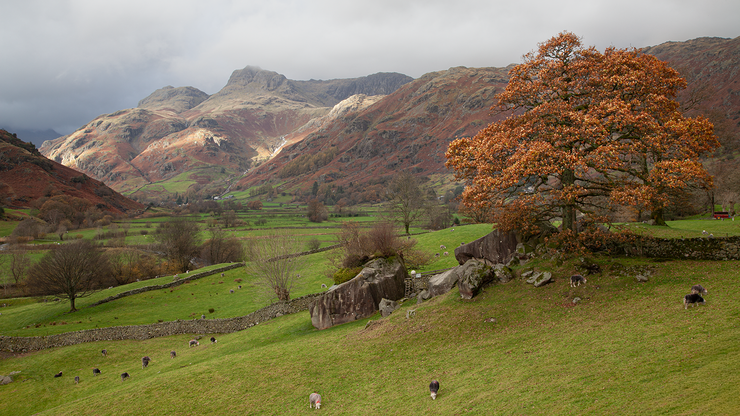 Langdales1275.png