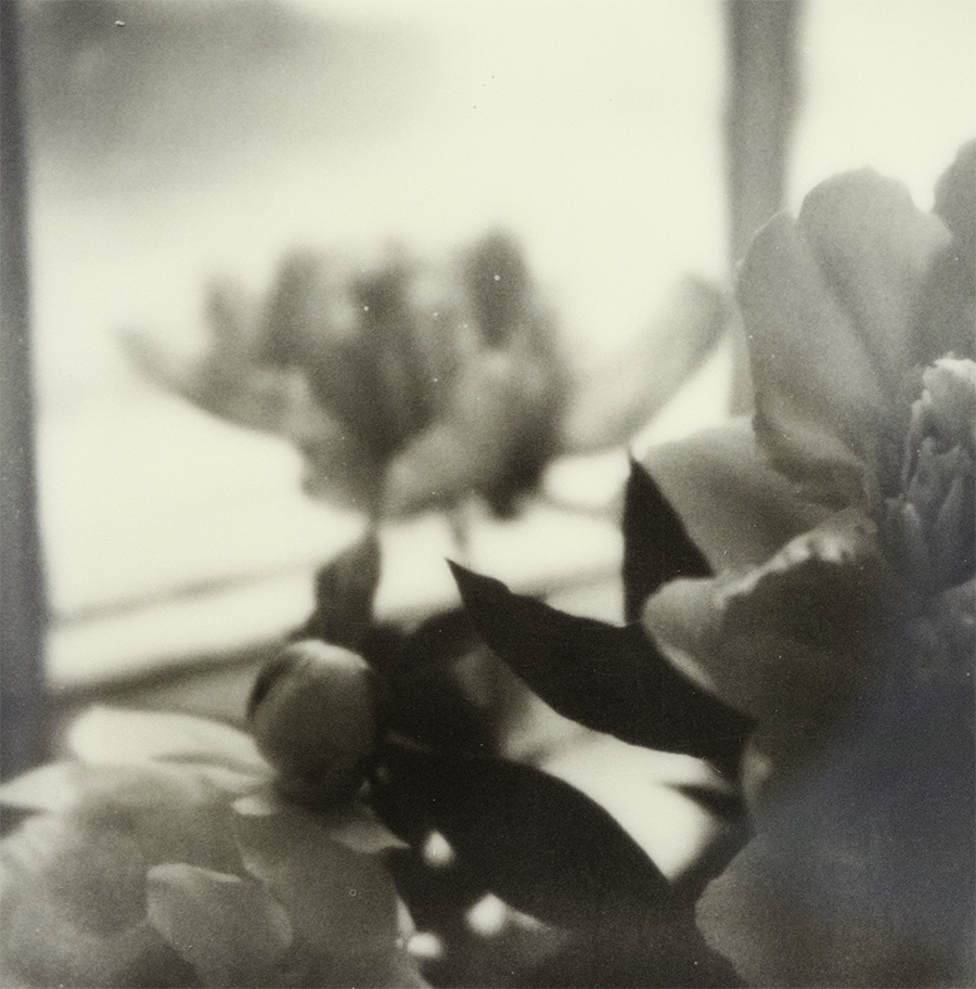 S Lawhorne Photography - Peony Bouquet i Detail redo.png