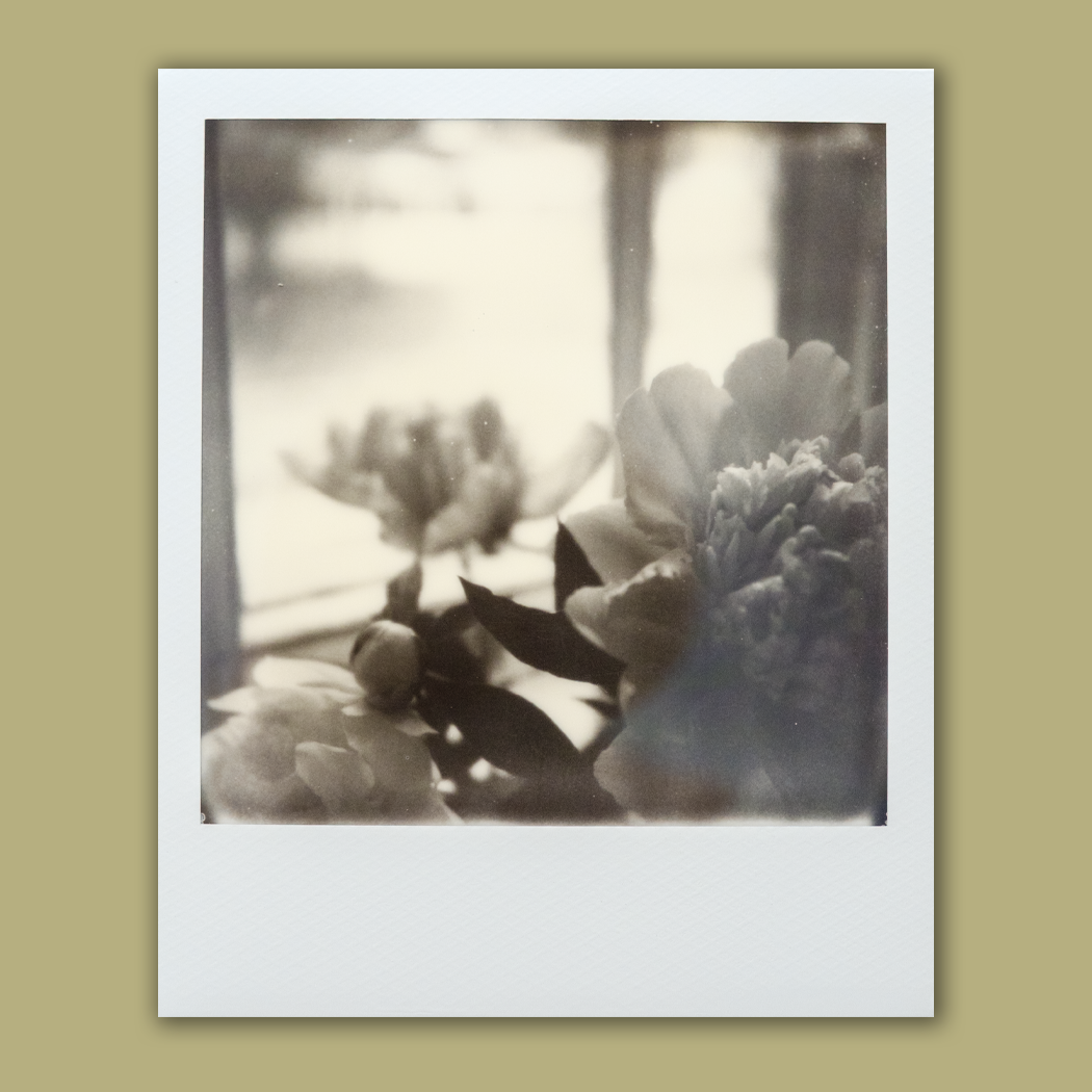 Bouquet Poem I • Original Polaroid