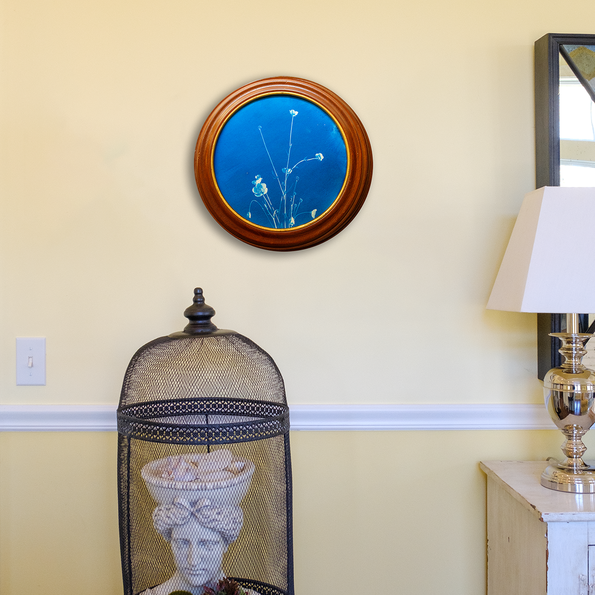 S Lawhorne Photography - buttercup in situ.png