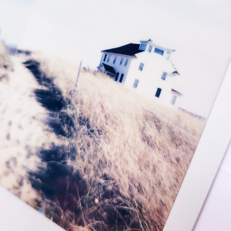 S Lawhorne Photography - sea iii detail.png