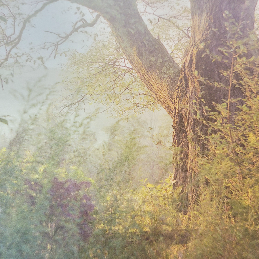 S Lawhorne Photography - Mount Saviour Detail.png