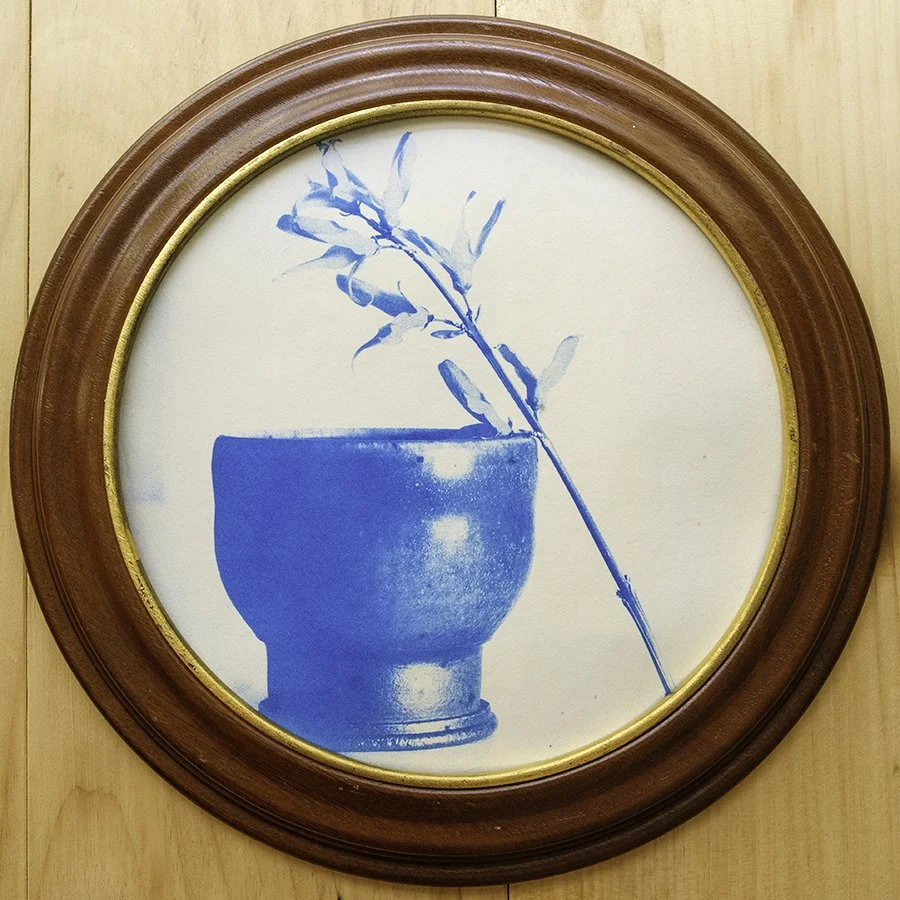 S Lawhorne Photography - Forsythia Framed.jpg