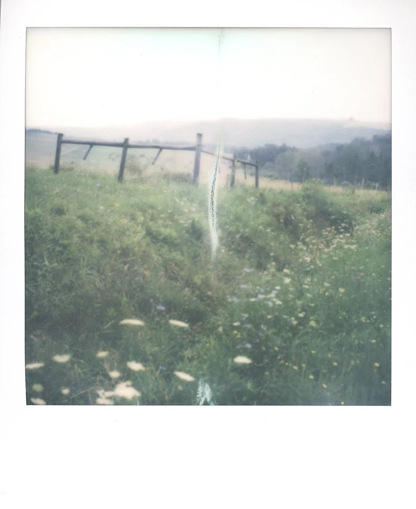 S Lawhorne Photography | sheep-farm-fence-post-polaroid-sx70.jpg