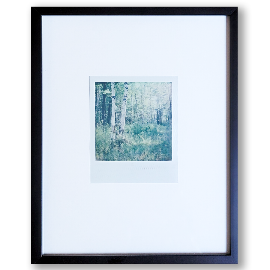 S Lawhorne Photography - Quiet Light Polaroid Framed transparent.png