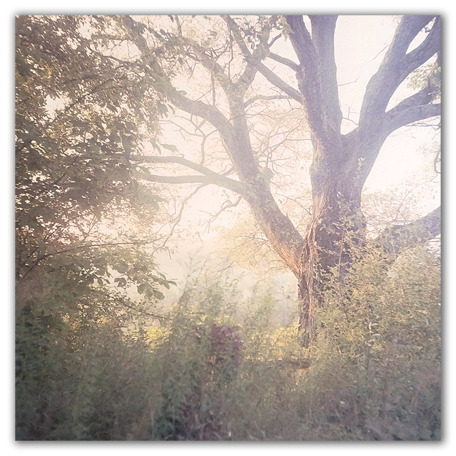 S Lawhorne Photography - Mount Saviour Photo.png