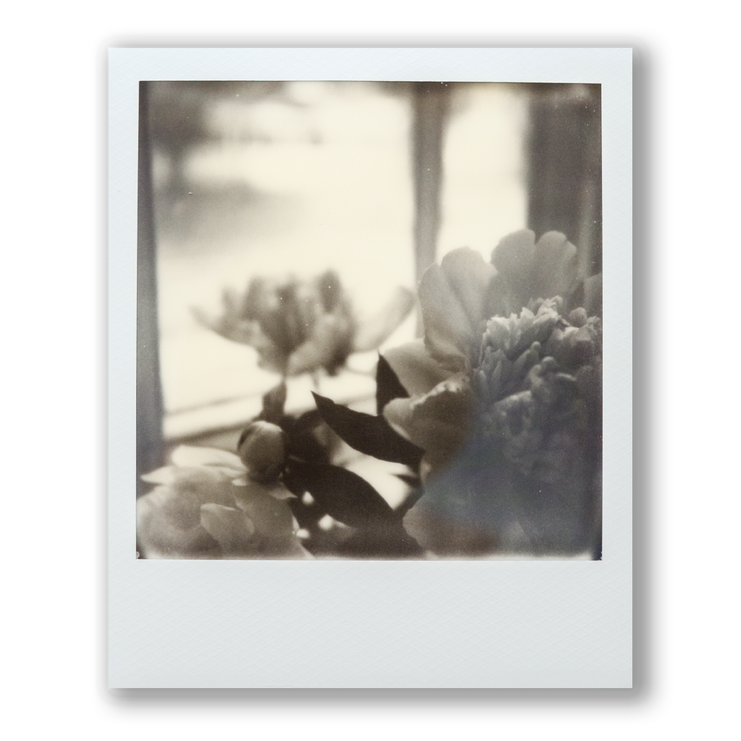 Bouquet Poem I • Original Polaroid