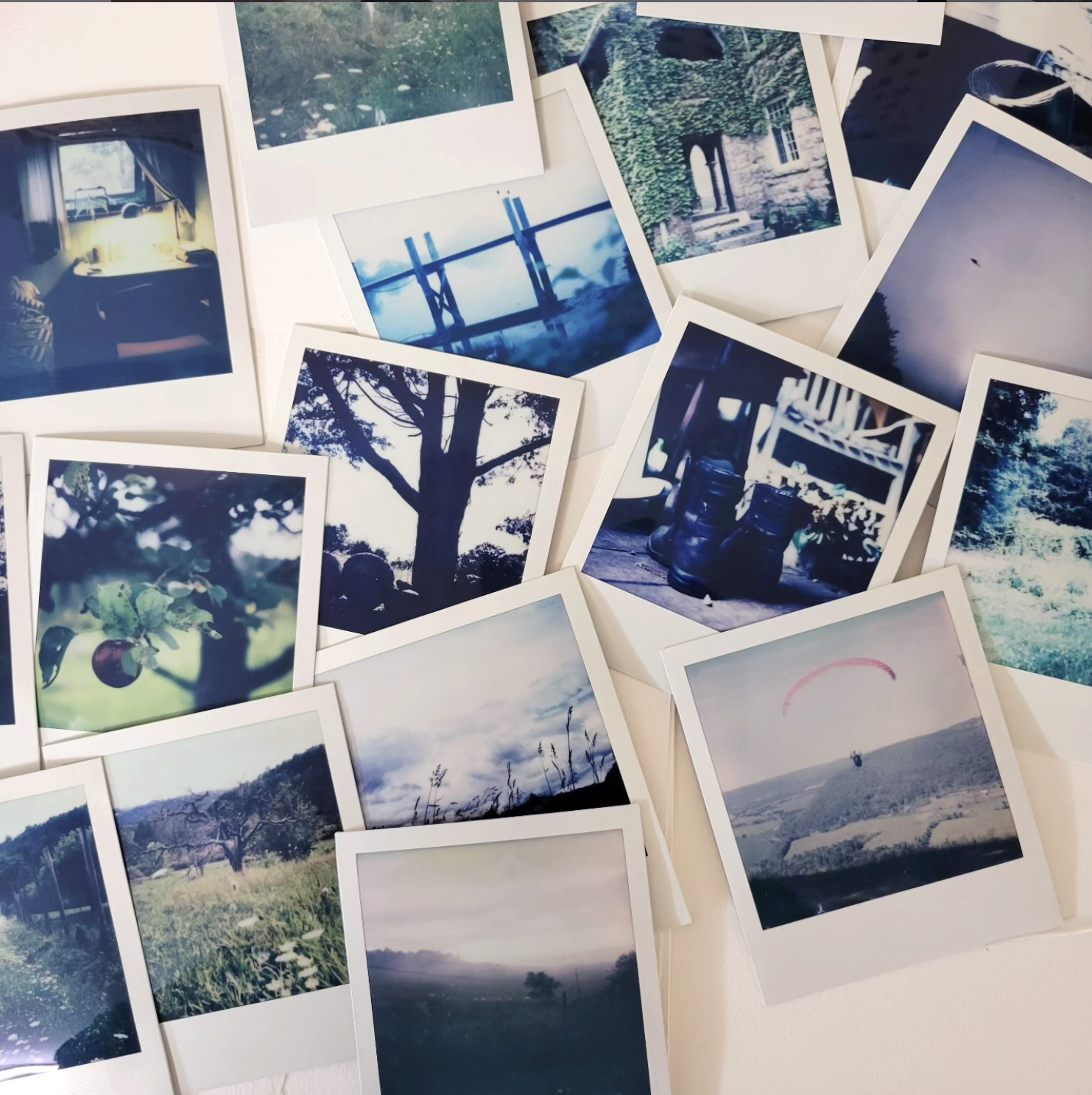 The Artist’s Portfolio.