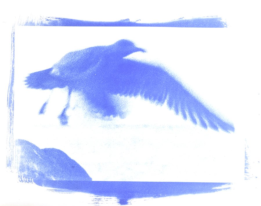 Oceanscape 6.jpg