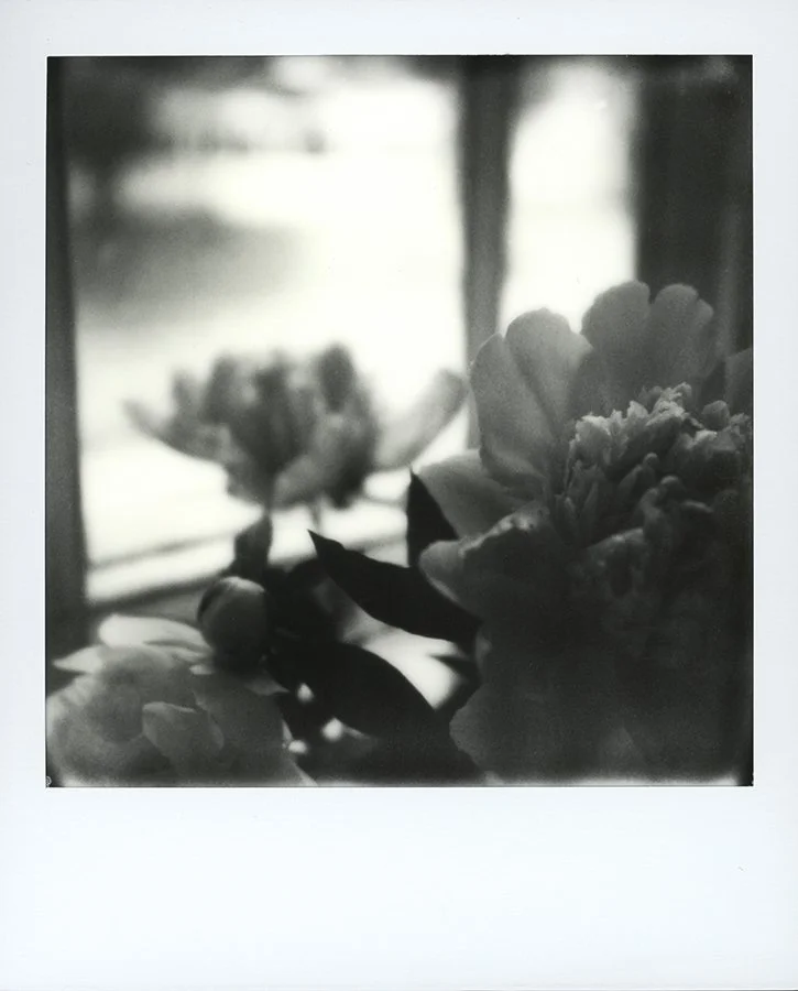 S Lawhorne Photography | bouquet-of-peonies-polaroid.jpg