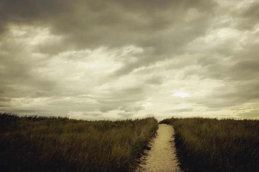 S Lawhorne Photography | Ipswich_MA-Crane_Beach_Dune_Path.jpg