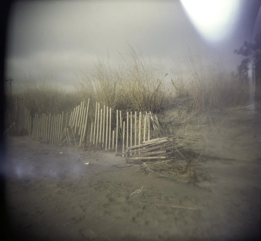 S Lawhorne Photography |narragansett-beach-dune-fence.jpg